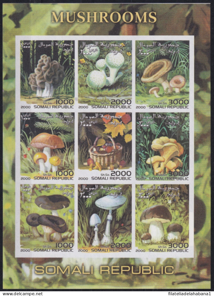 F-EX48019 SOMALIA MNH 2000 MUSHROOMS FLOWER SETAS.  - Pilze