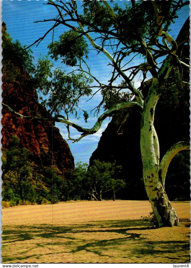 3-3-2024 (2 Y 5) Australia - NT - Simpson's Gap - Non Classificati