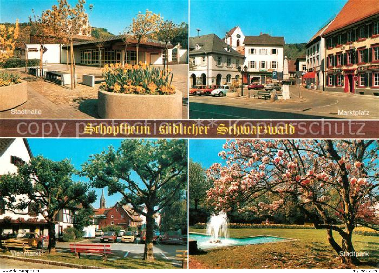 73124765 Schopfheim Stadthalle Marktplatz Viehmarkt Stadtpark Baumbluete Schopfh - Schopfheim