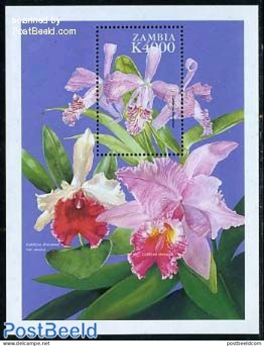 Zambia 1999 Cattleya Maxima S/s, Mint NH, Nature - Flowers & Plants - Orchids - Zambie (1965-...)