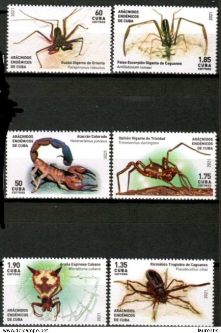 16150  Spiders - Scorpions - 2021 - MNH - Cb - 3,25 . - Spiders