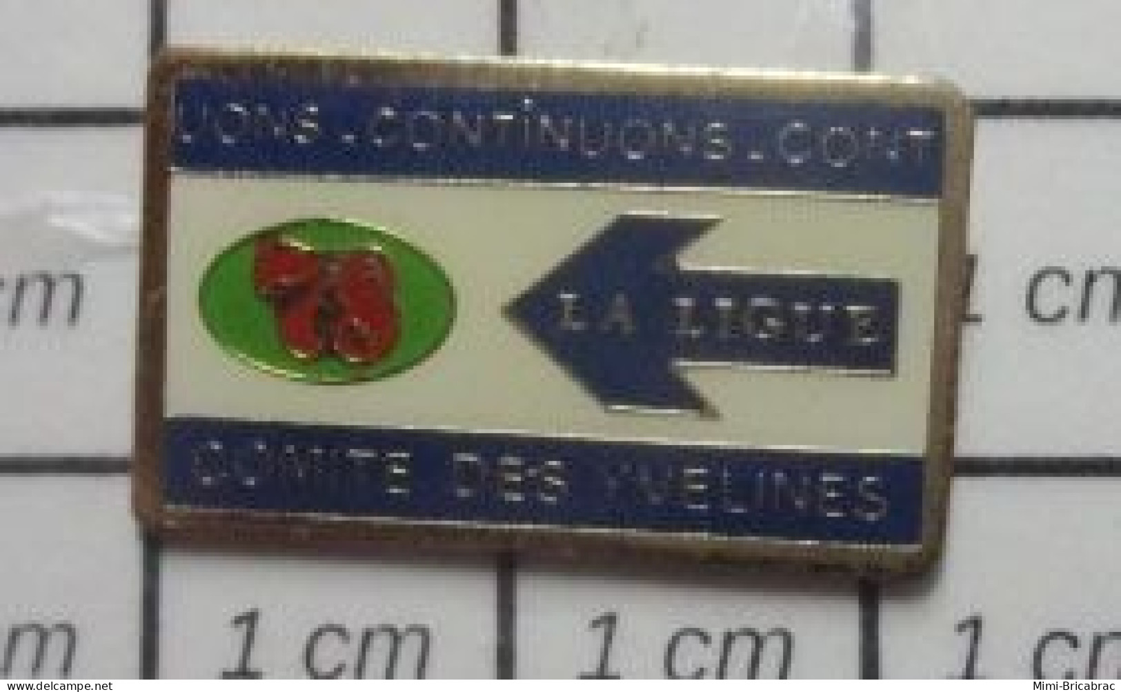 512i Pin's Pins / Beau Et Rare / MEDICAL / LIGUE CONTRE LE CANCER YVELINES - Medizin