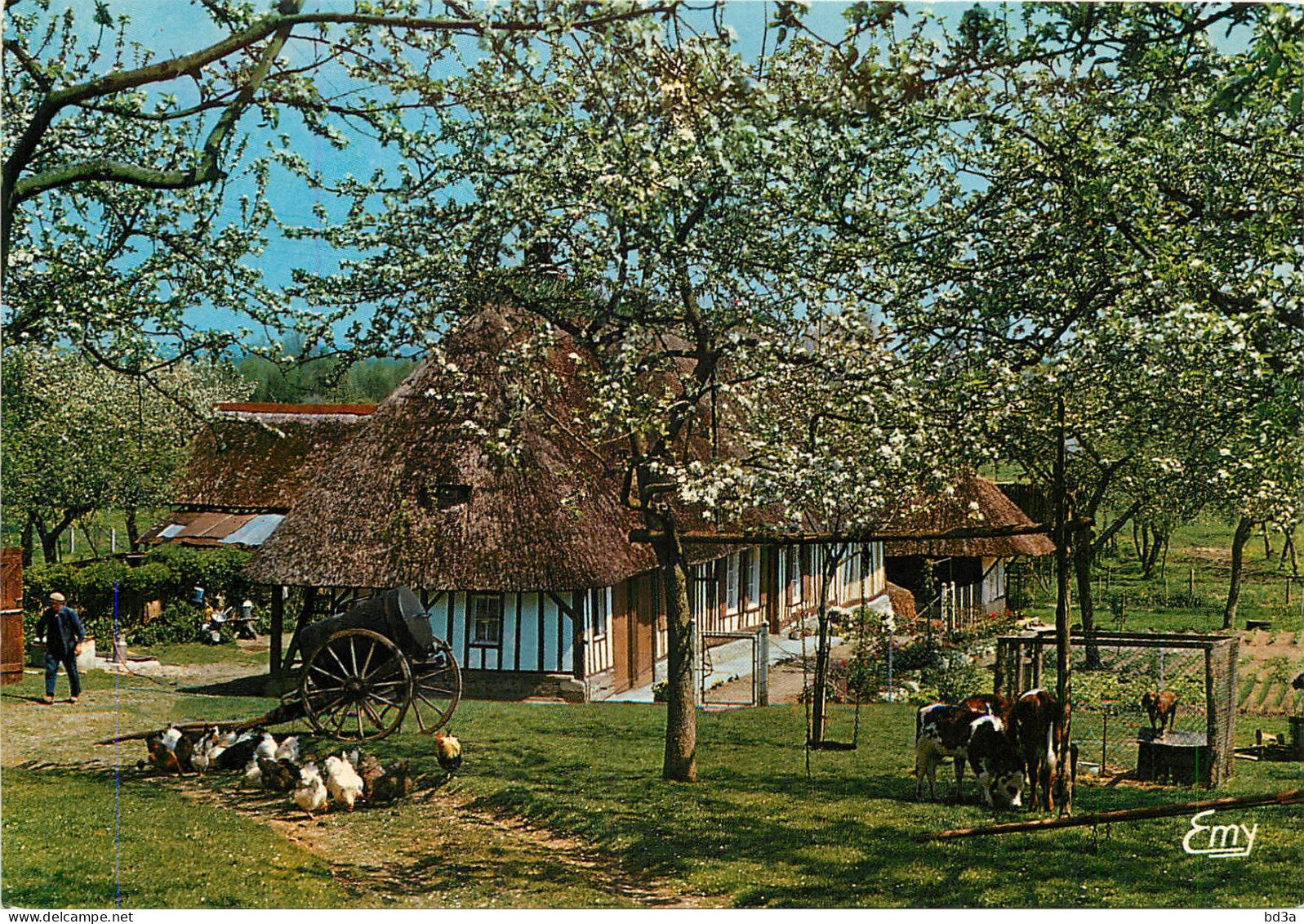 LA NORAMANDIE FERME NORMANDE POMMIERS EN FLEURS - Haute-Normandie