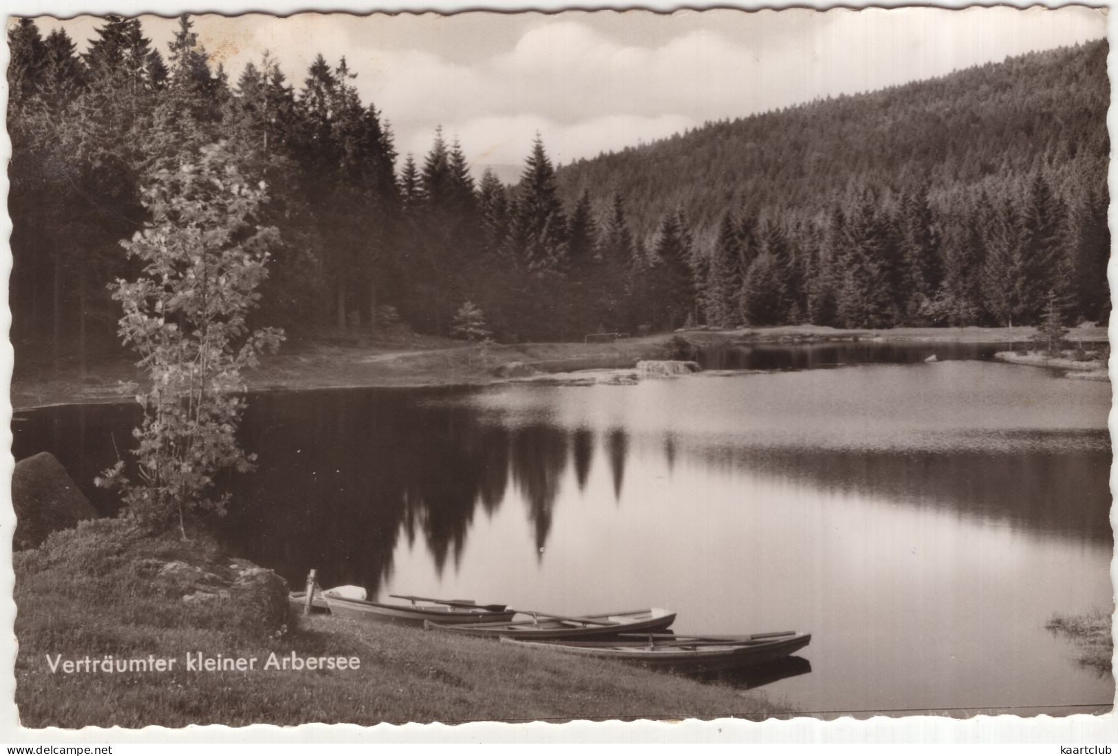 Verträumter Kleiner Arbersee Im Bayer. Wald - (Deutschland) - 1961 - Regen