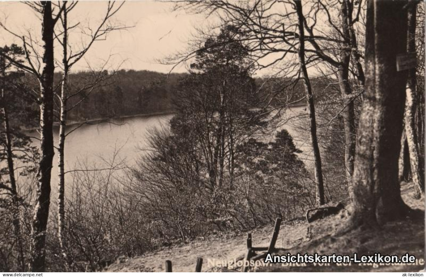 Ansichtskarte Neuglobsow-Stechlin Blick Von Der Augustahöhe 1961 - Neuglobsow