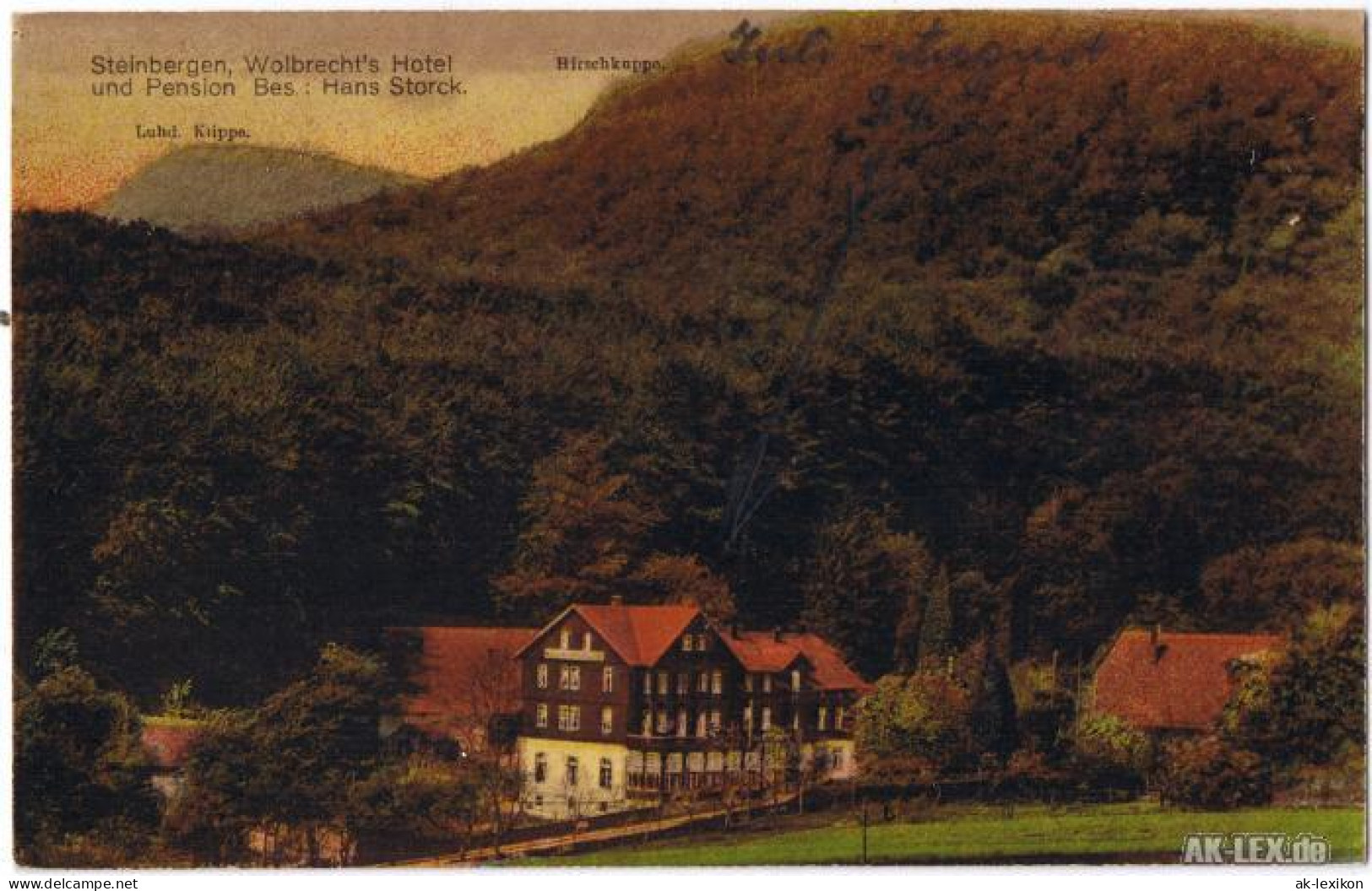 Ansichtskarte Steinbergen-Rinteln Wolbrecht's Hotel 1925 - Rinteln
