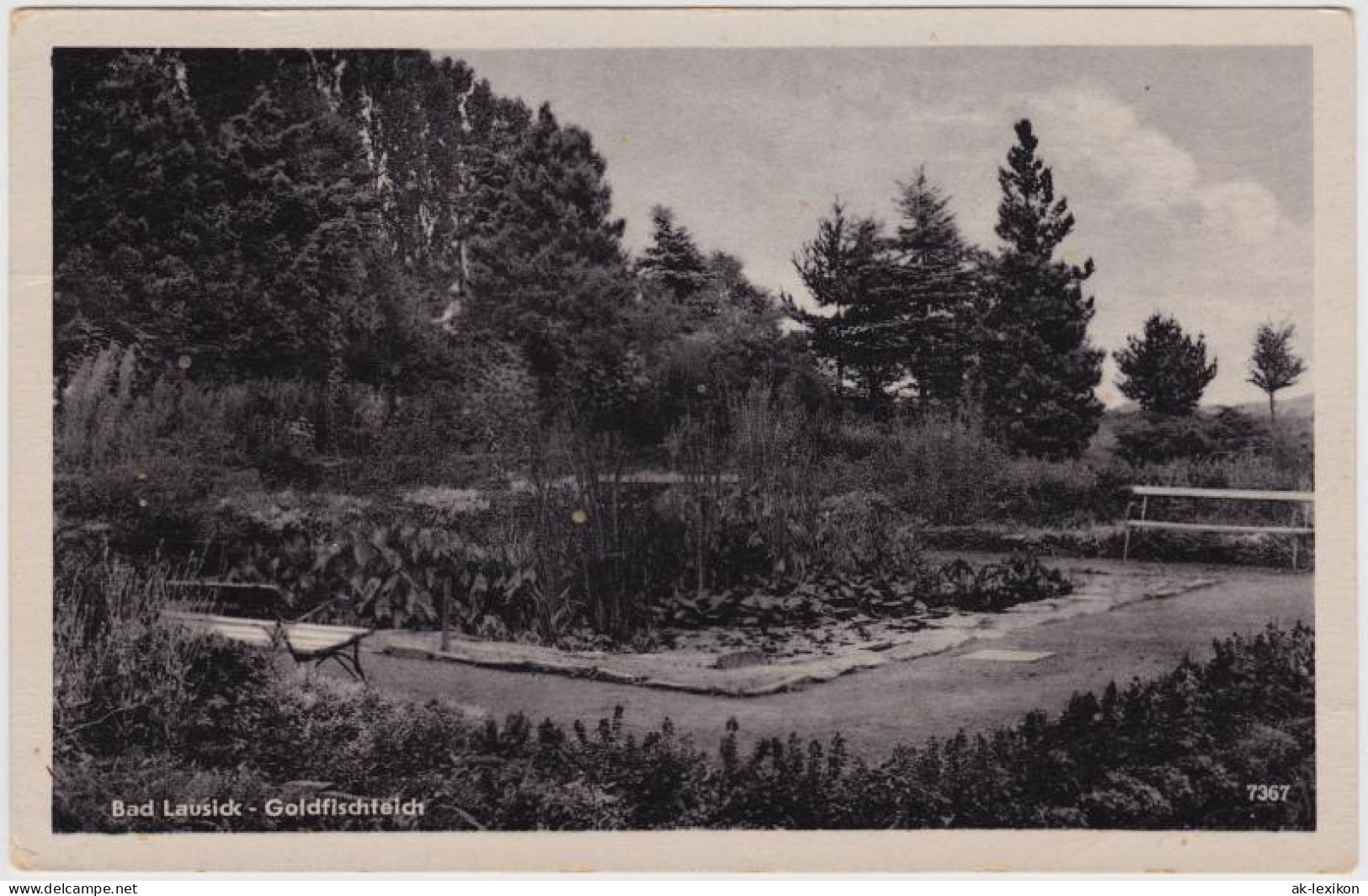 Ansichtskarte Bad Lausick Lausigk Goldfischteich Im Park 1953 - Bad Lausick