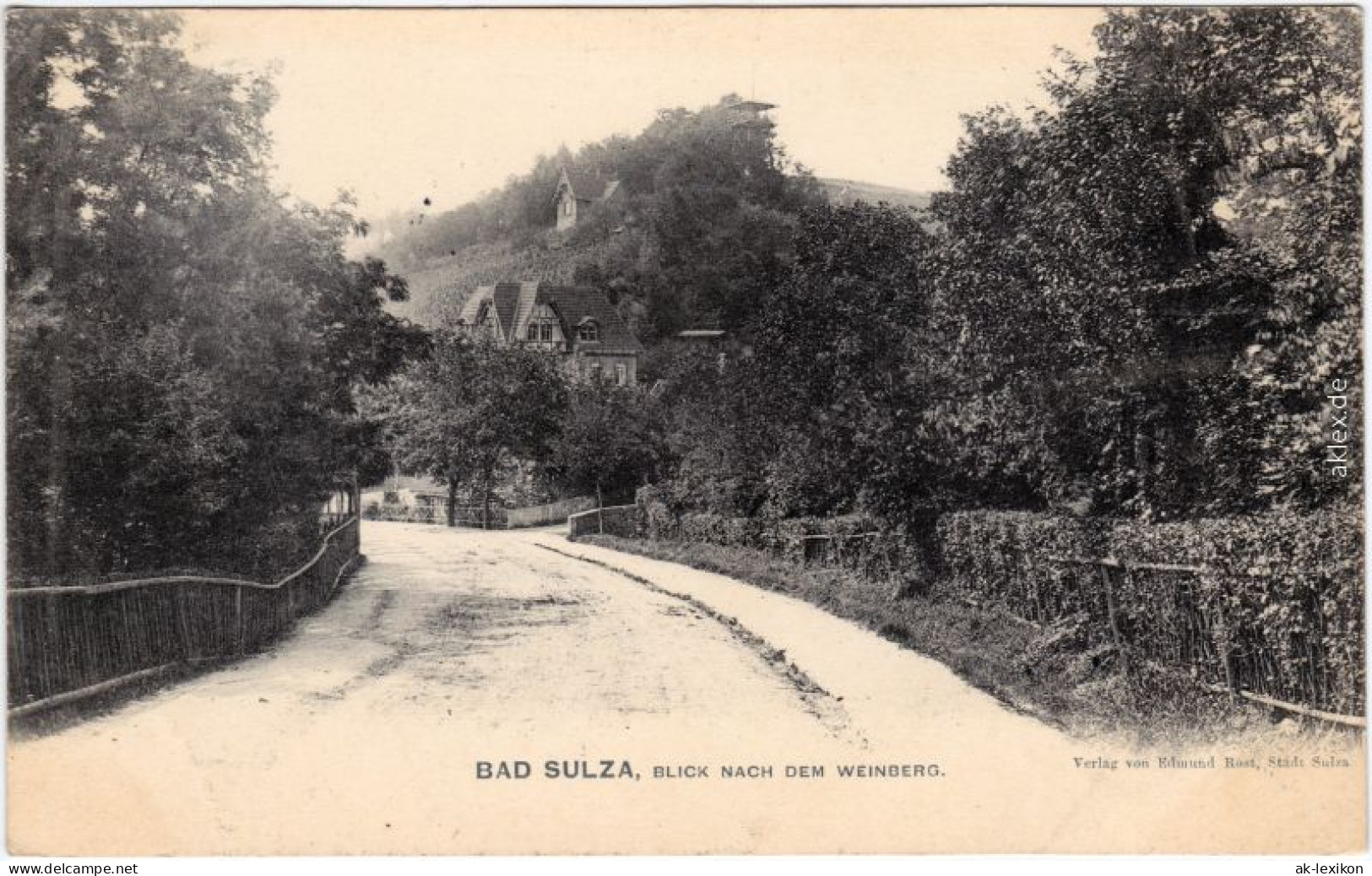 Ansichtskarte Bad Sulza Straßenpartie Am Weinberg 1911  - Bad Sulza