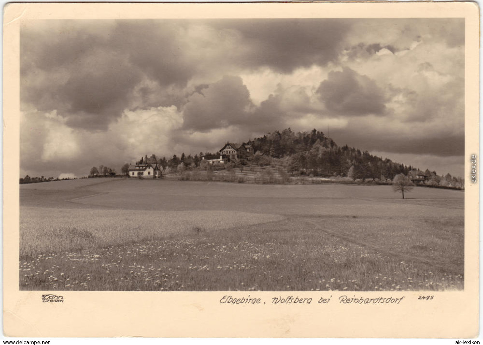 Ansichtskarte Reinhardtsdorf-Schöna Elbgebirge, Wolfsberg 1956 Walter Hahn:2495 - Schöna