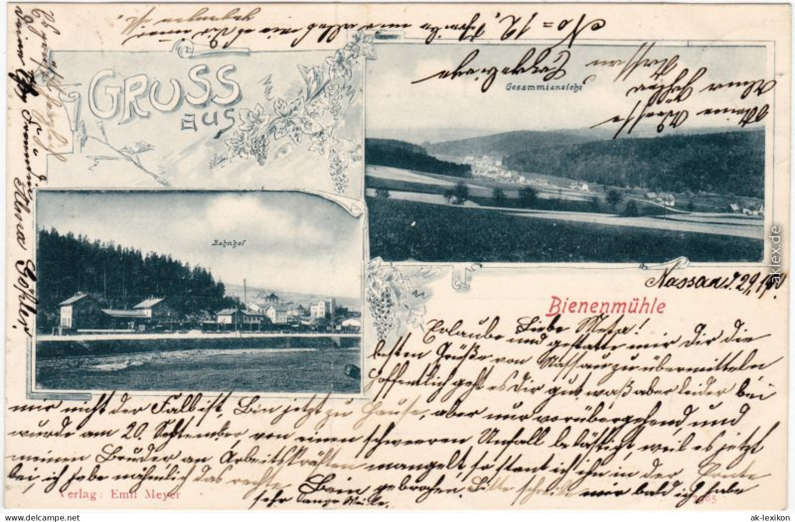 Ansichtskarte Rechenberg-Bienenmühle 2 Bild: Bahnhof Und Totale 1906  - Rechenberg-Bienenmühle