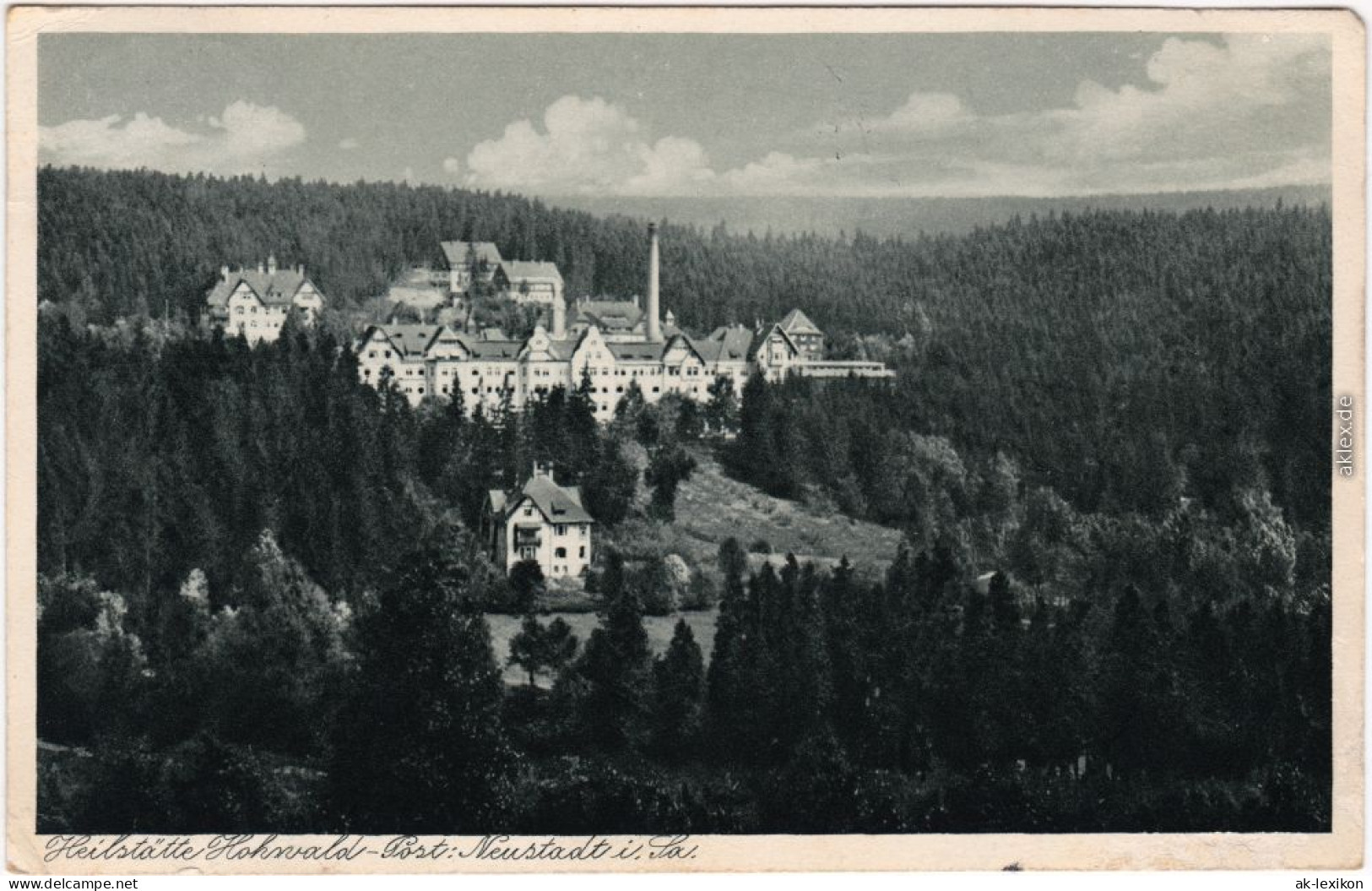 Hohwald (Sachsen) Blick Auf Die Heilstätte B Sebnitz Neustadt 1931 - Hohwald (Sachsen)