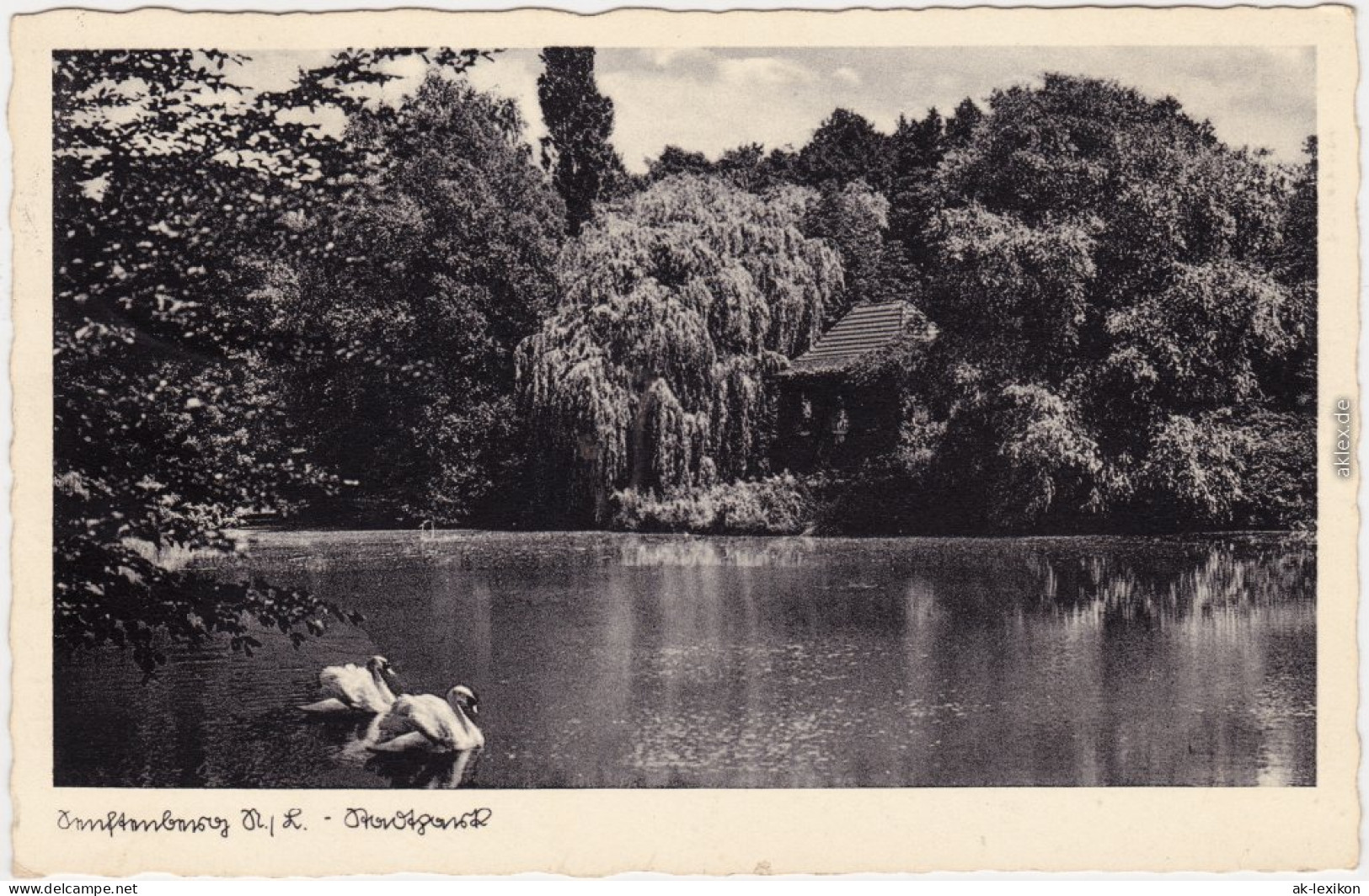 Senftenberg (Niederlausitz) Z&#322;y Komorów Stadtpark Mit Pavillon 1939  - Senftenberg