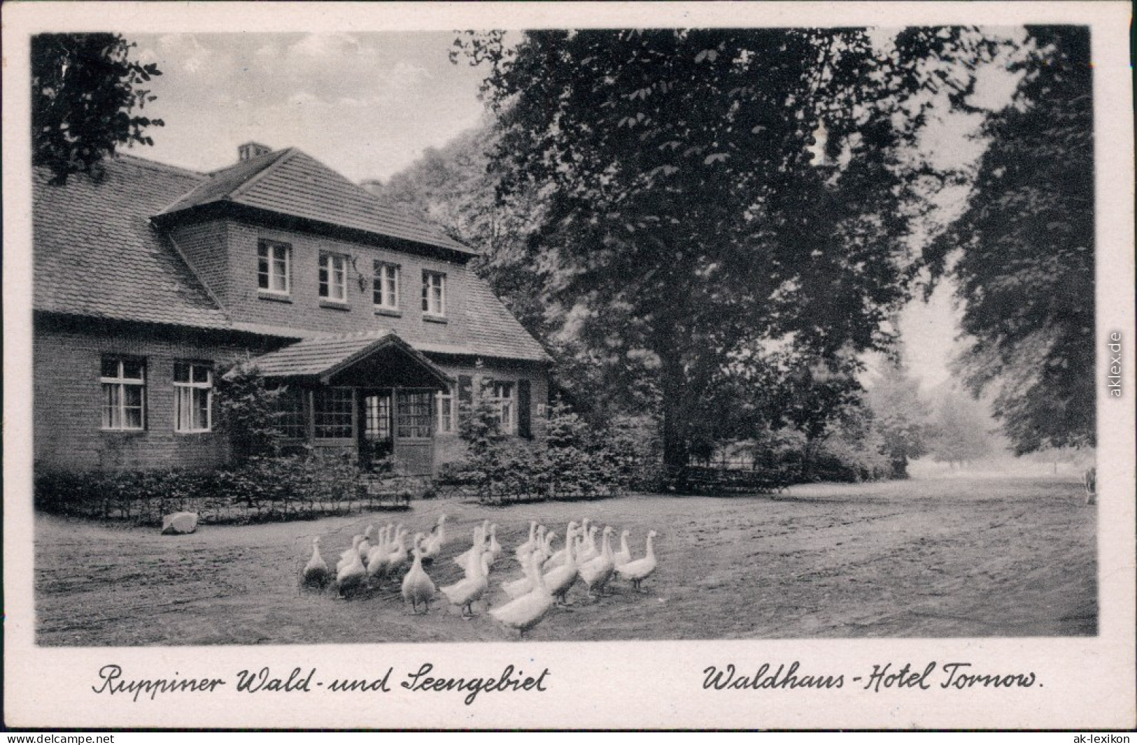 Ansichtskarte Teupitz Partie Am Waldhaus Tornow - Ruppiner Schweiz 1951  - Teupitz