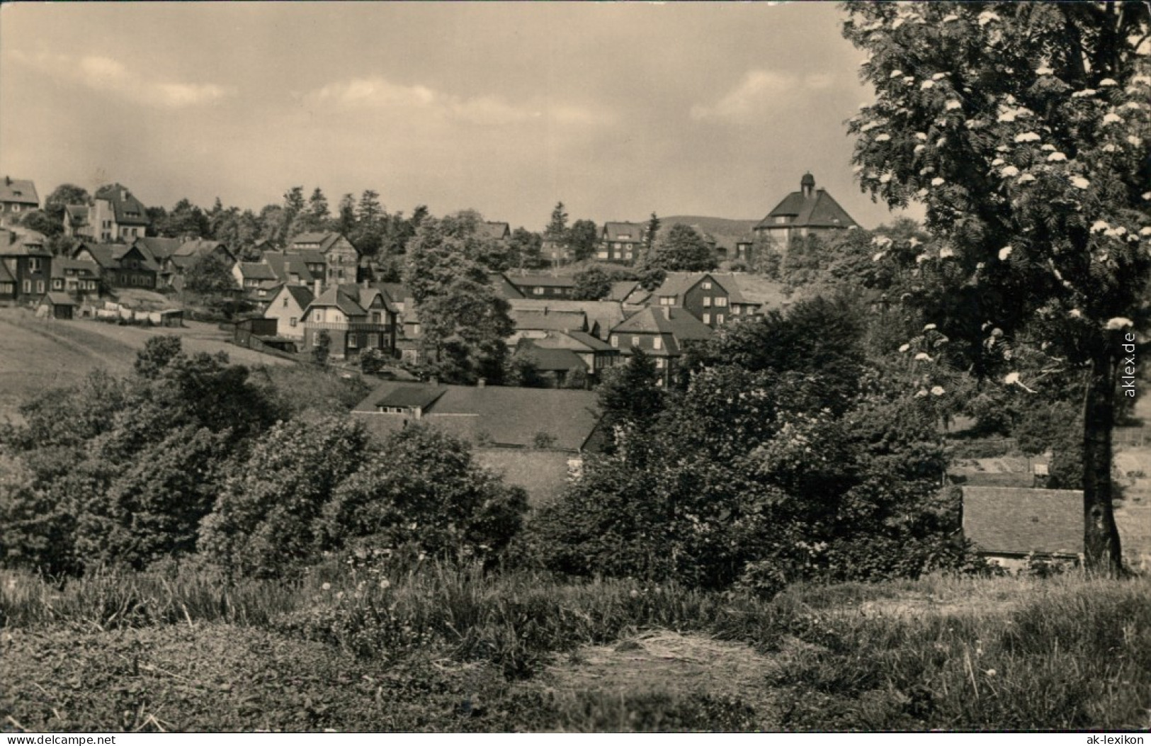 Ansichtskarte Schmiedefeld (Rennsteig) Panorama-Ansicht 1959 - Schmiedefeld