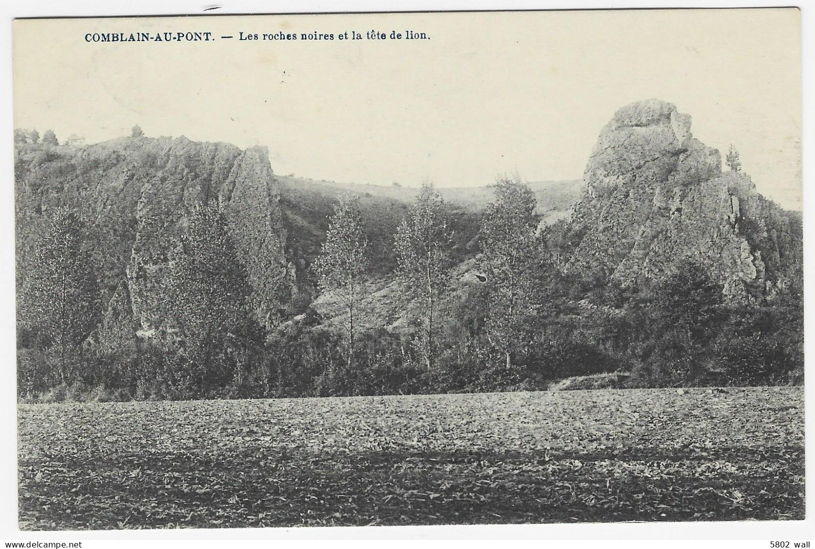 COMBLAIN-AU-PONT : Les Roches Noires Et La Tête De Lion - Comblain-au-Pont