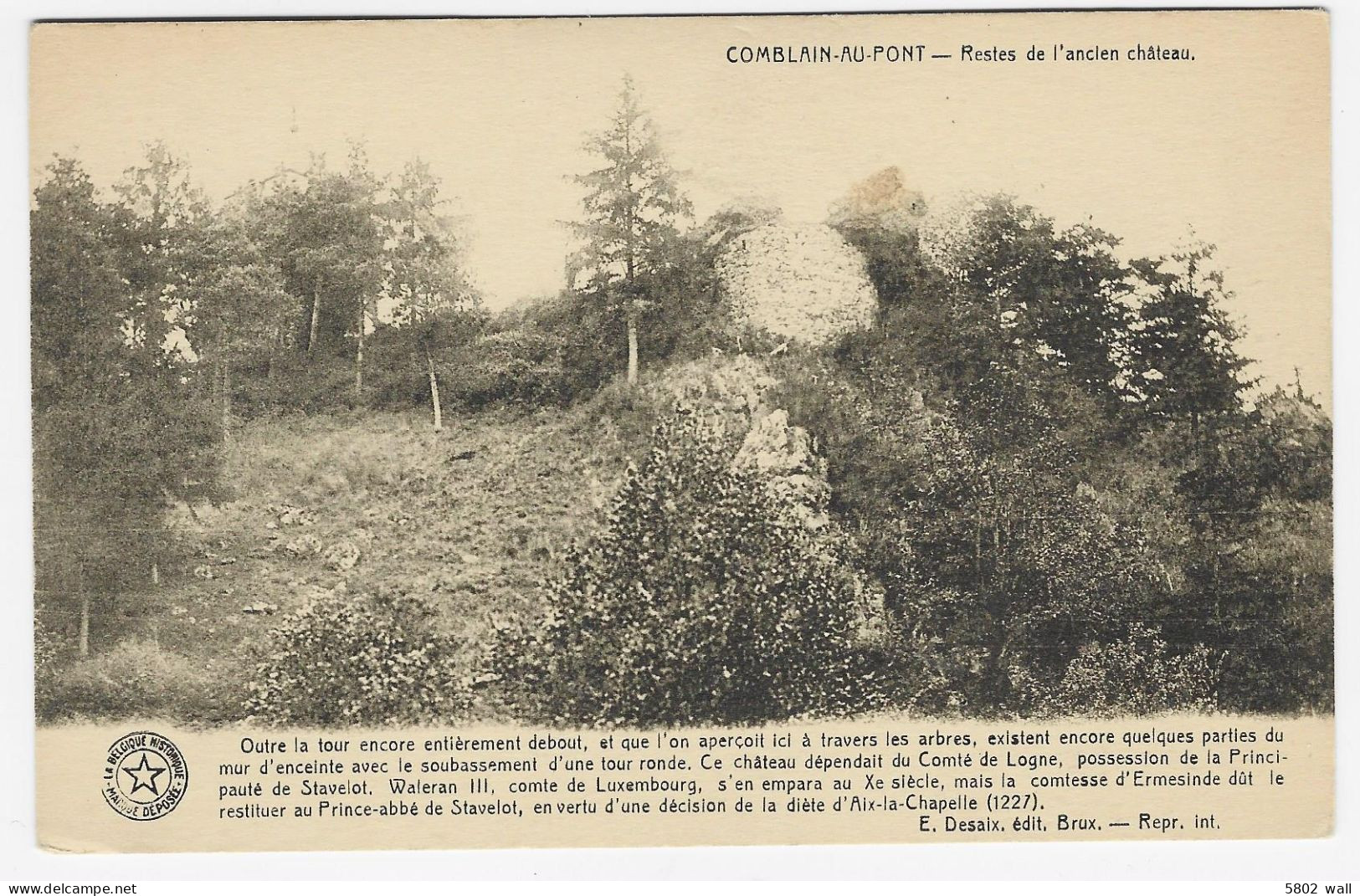 COMBLAIN-AU-PONT : Restes De L'ancien Château - Comblain-au-Pont