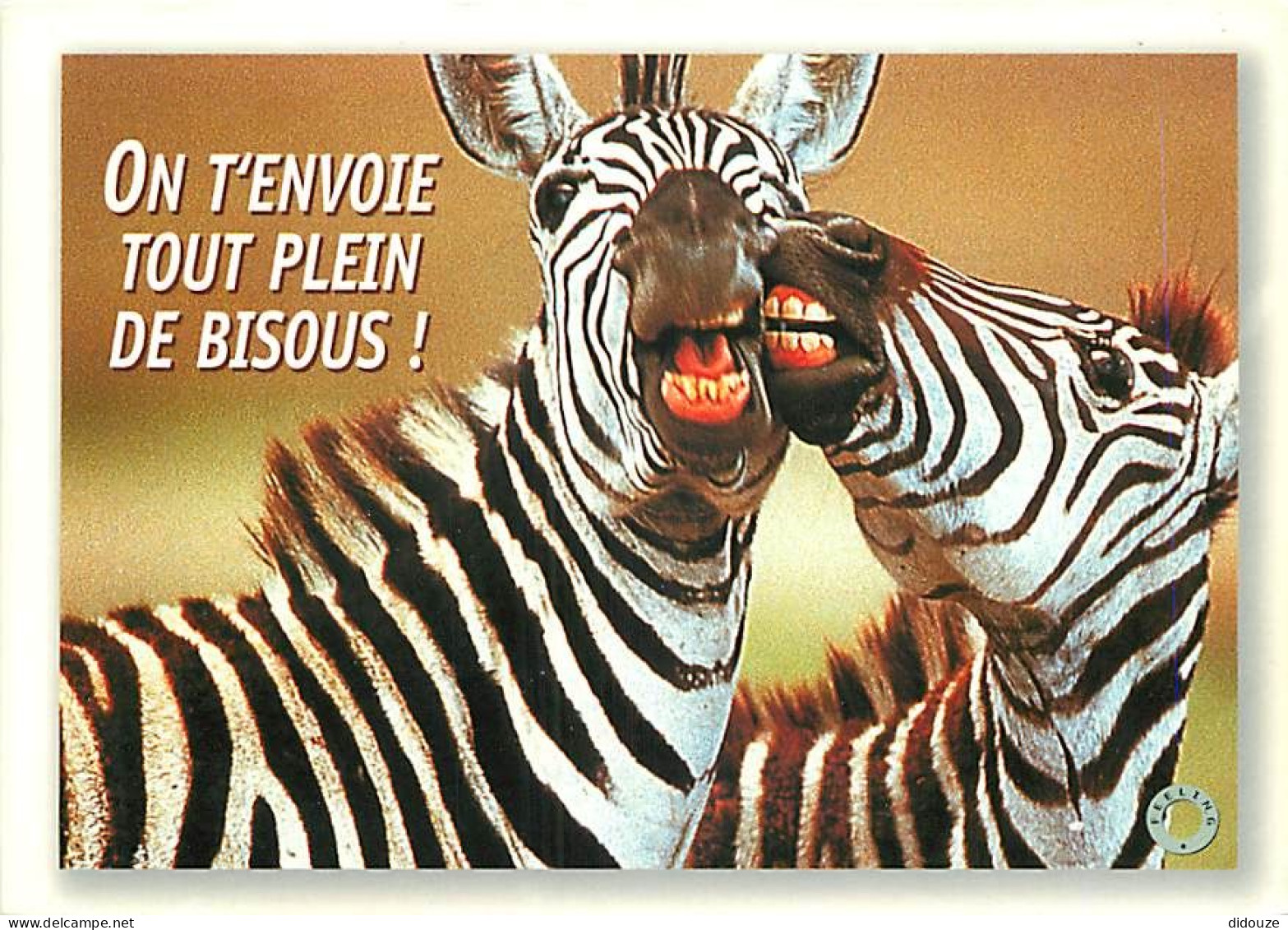 Animaux - Zèbres - Carte à Message Ou Humoristique - CPM - Carte Neuve - Voir Scans Recto-Verso - Zebra's