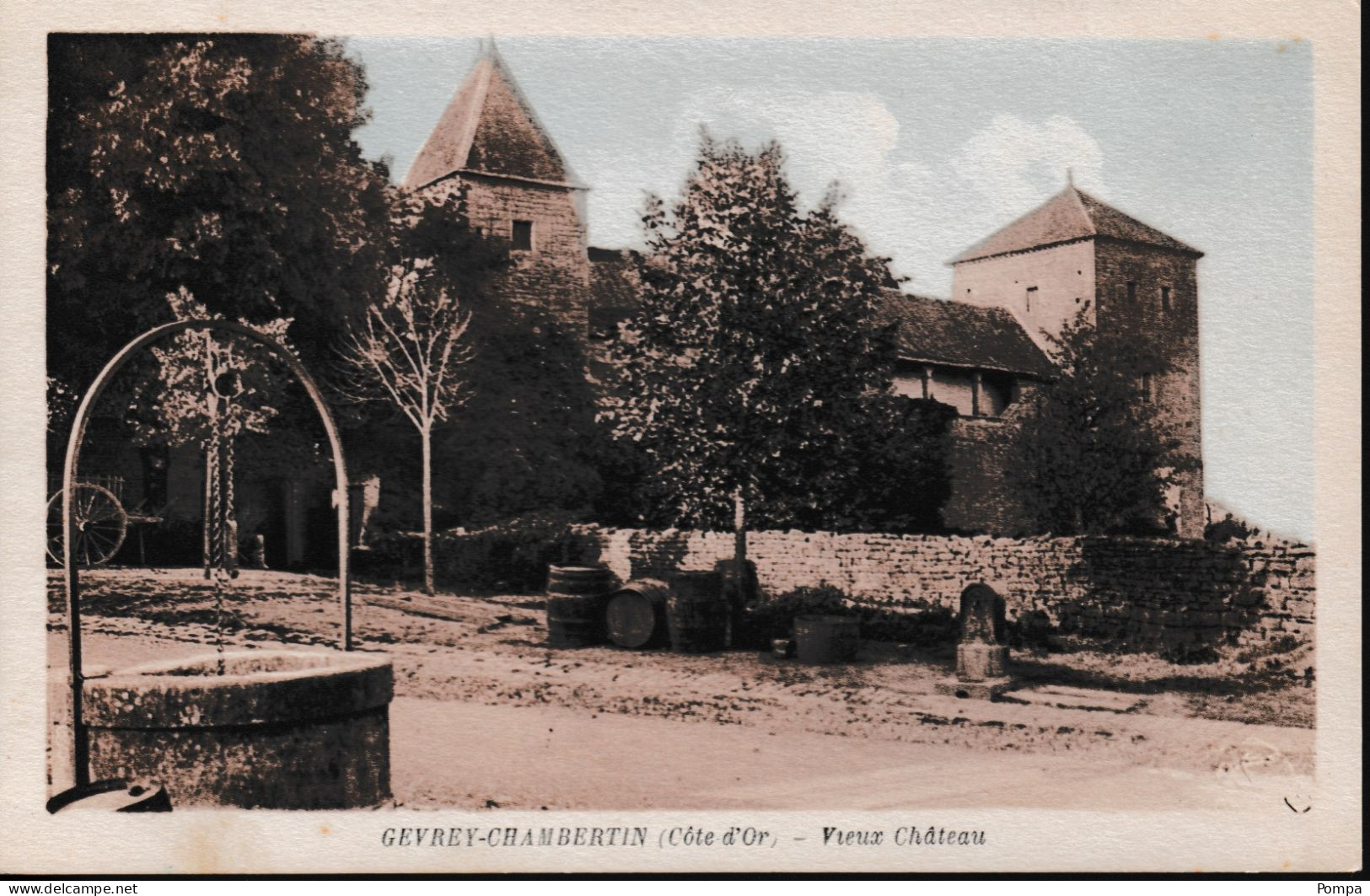 Gevrey Chambertin - Vieux Château - Gevrey Chambertin