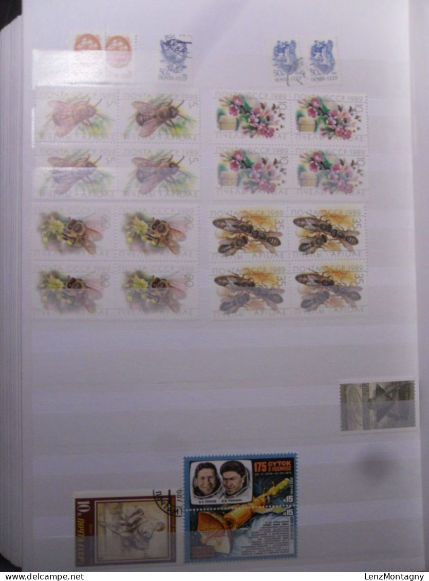 Collection de timbres Russie - URSS dans 2 classeurs neuf **, oblitéré, selon Scans