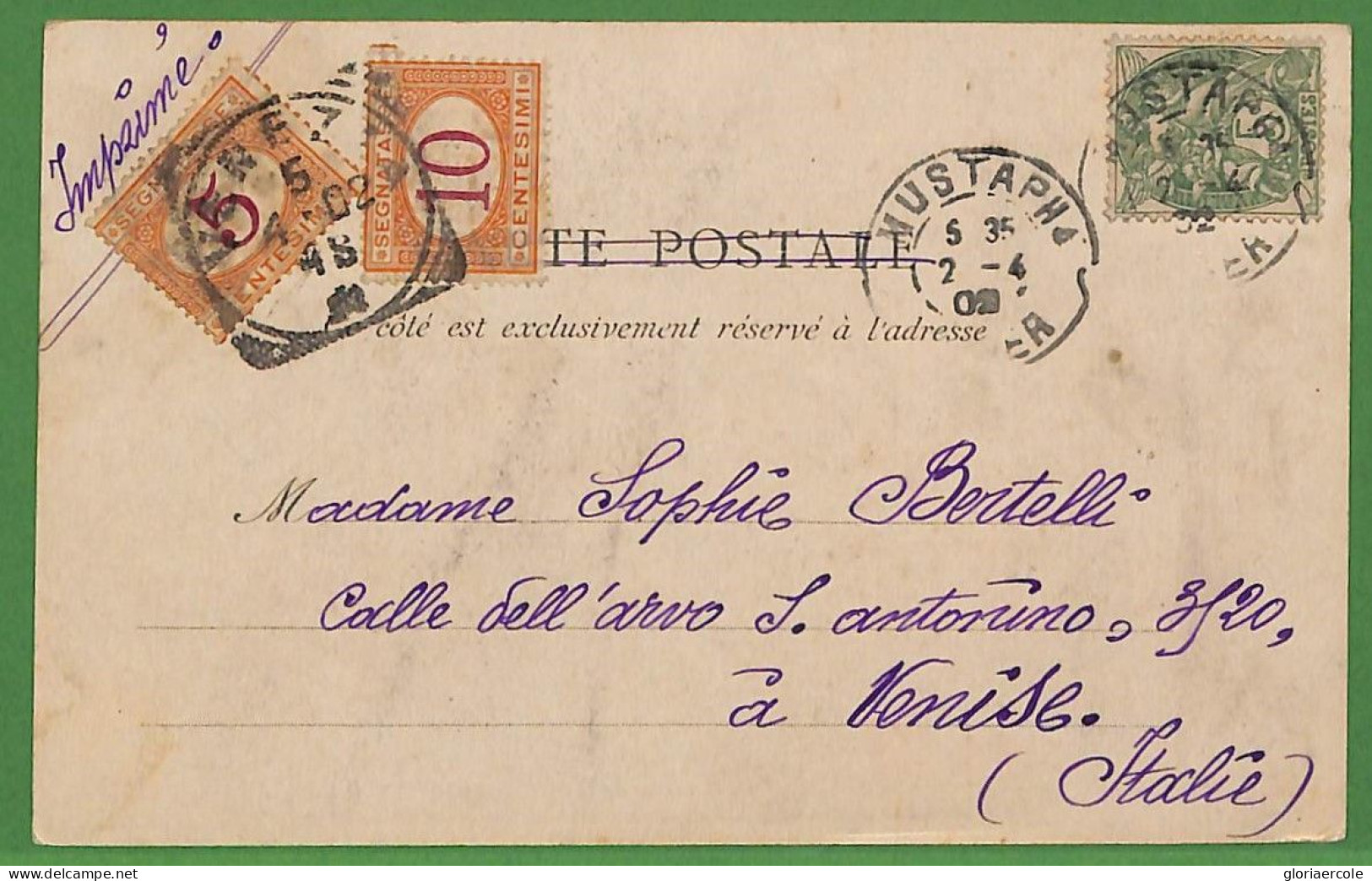 Ad6464 - ALGERIE  - Postal History - POSTCARD  To ITALY - TAXED Segnatasse  1902 - Altri & Non Classificati
