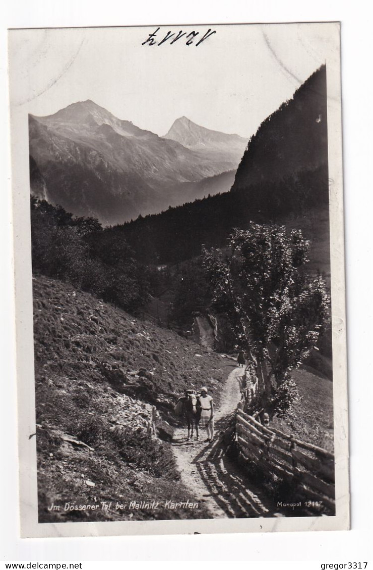 E5143) Im DÖSSENER Tal Bei MALLNITZ Kärnten  - Frau Mit PFERD Auf Weg ALTE FOTO AK - Mallnitz