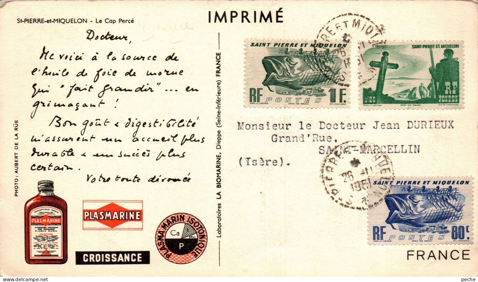 N°41565 Z -timbres Saint Pierre Et Miquelon Sur Carte Imprimé- Publicité Plasmarine- 1951- - Covers & Documents