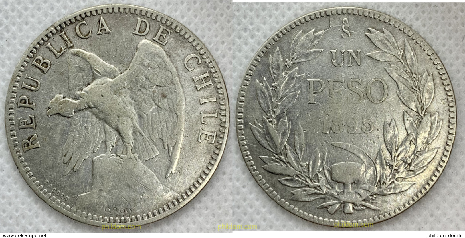 2552 CHILE 1895 CHILE 1 PESO 1895 - Cile