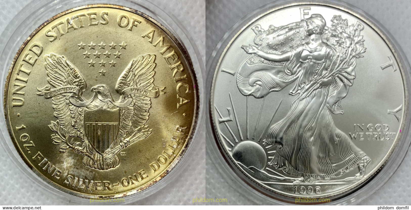 2882 ESTADOS UNIDOS 1996 UNITED STATES DOLLAR EAGLE LIBERTY 1996 1 DOLLAR ONE - Altri & Non Classificati