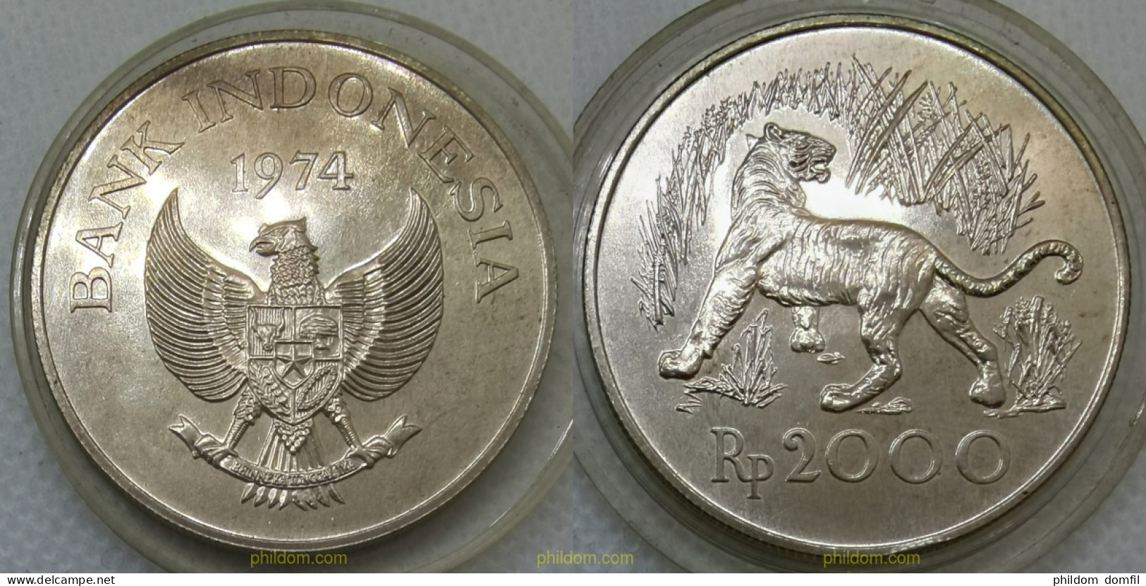 2915 INDONESIA 1974 INDONESIA 2000 RUPEES 1974 - Indonesien