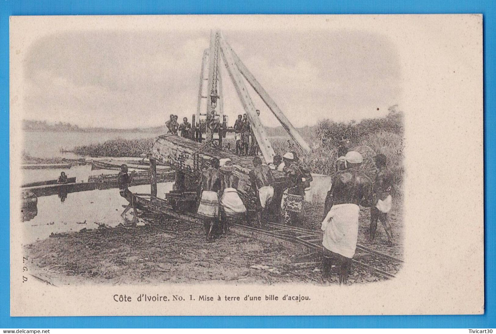 CPA DOS NON DIVISE - COTE-D'IVOIRE - L.G.D. N° 1 - MISE A TERRE D'UNE BILLE D'ACAJOU - Elfenbeinküste