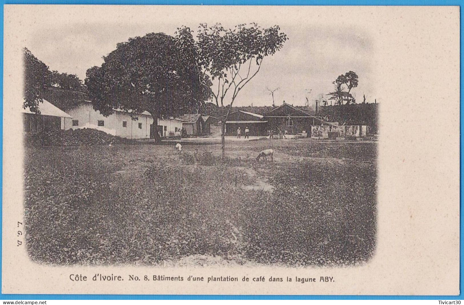 CPA DOS NON DIVISE - COTE-D'IVOIRE - L.G.D. N° 8 - BATIMENTS D'UNE PLANTATION DE CAFE DANS LA LAGUNE ABY - Costa D'Avorio