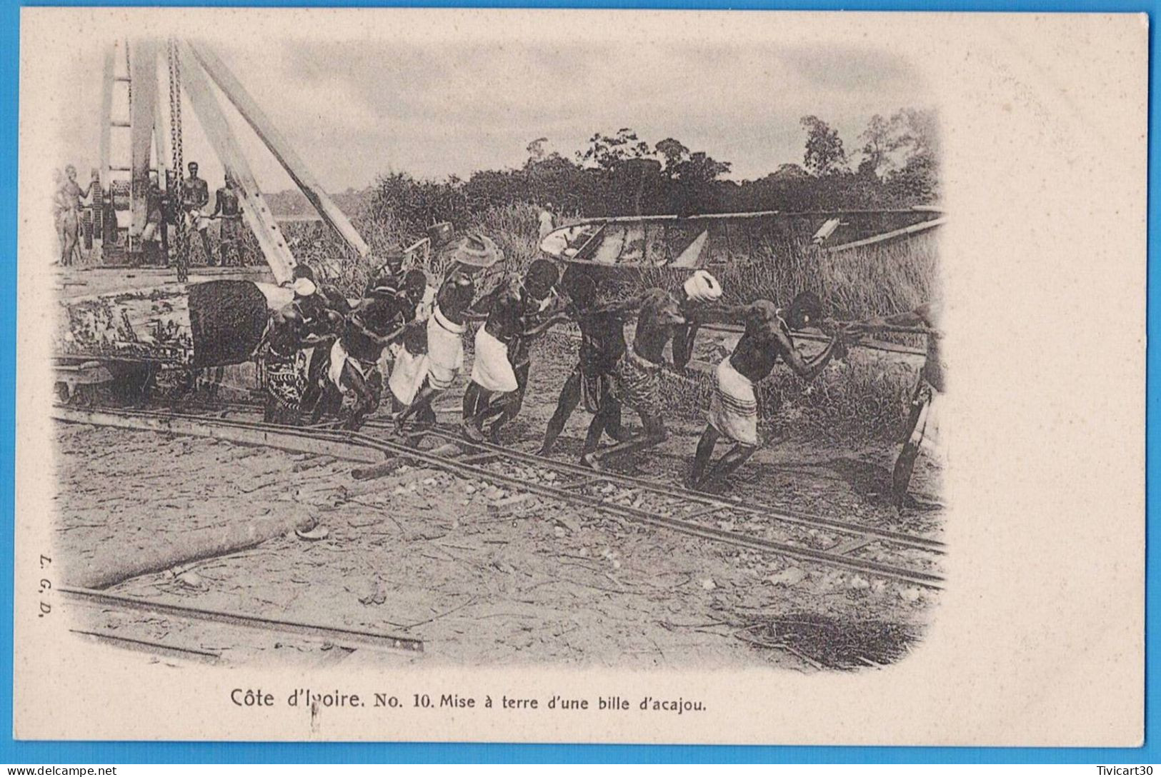 CPA DOS NON DIVISE - COTE-D'IVOIRE - L.G.D. N° 10 - MISE A TERRE D'UNE BILLE D'ACAJOU - Côte-d'Ivoire