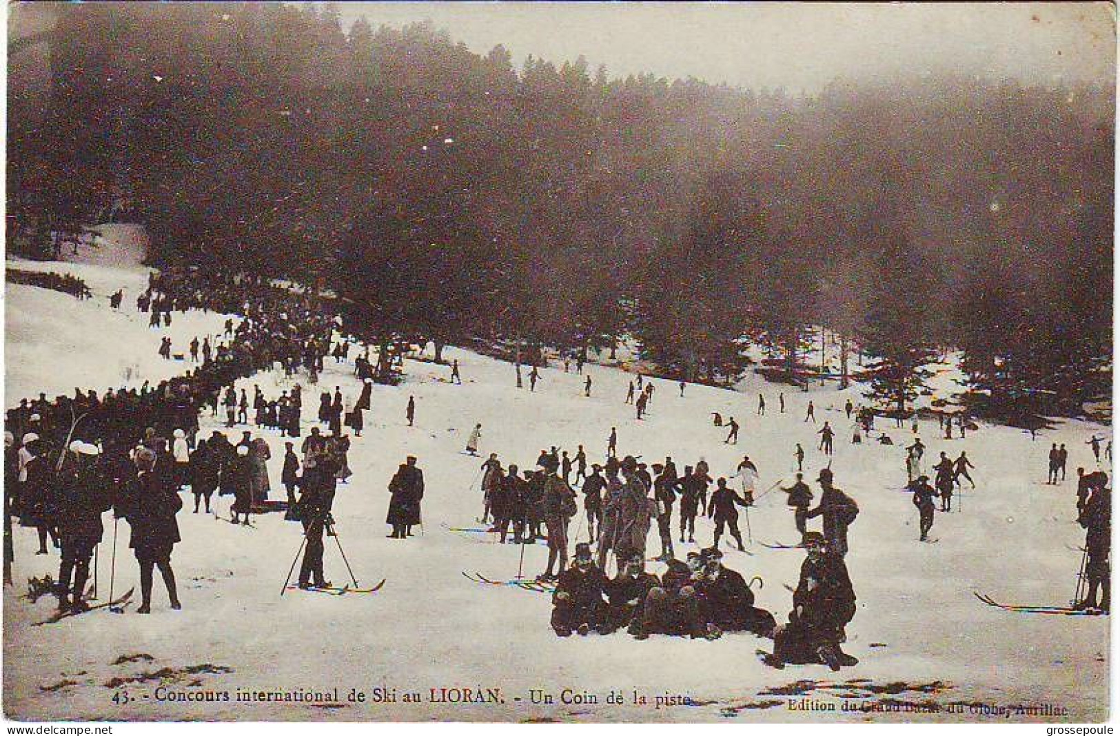 15 - CANTAL - Carte N° 43 - Concours International De Ski Au LIORAN - Un Coin De La Piste - Winter Sports