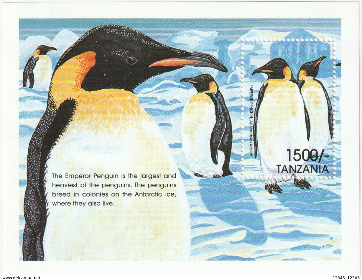 Tanzania 1999, Postfris MNH, Birds, Penguins - Tanzania (1964-...)