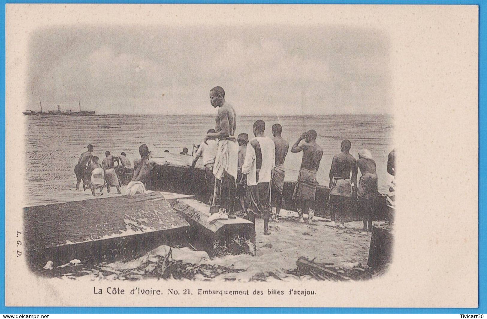 CPA DOS NON DIVISE - COTE-D'IVOIRE - L.G.D. N° 21 - EMBARQUEMENT DES BILLES D'ACAJOU - Costa D'Avorio