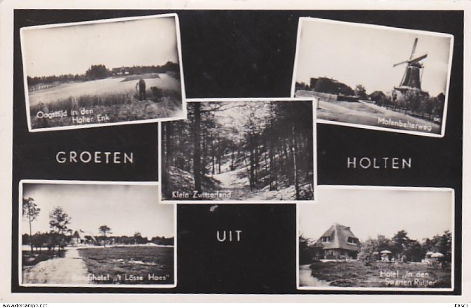 4850a142Holten, Groeten Uit Holten. (FOTOKAART)  - Holten