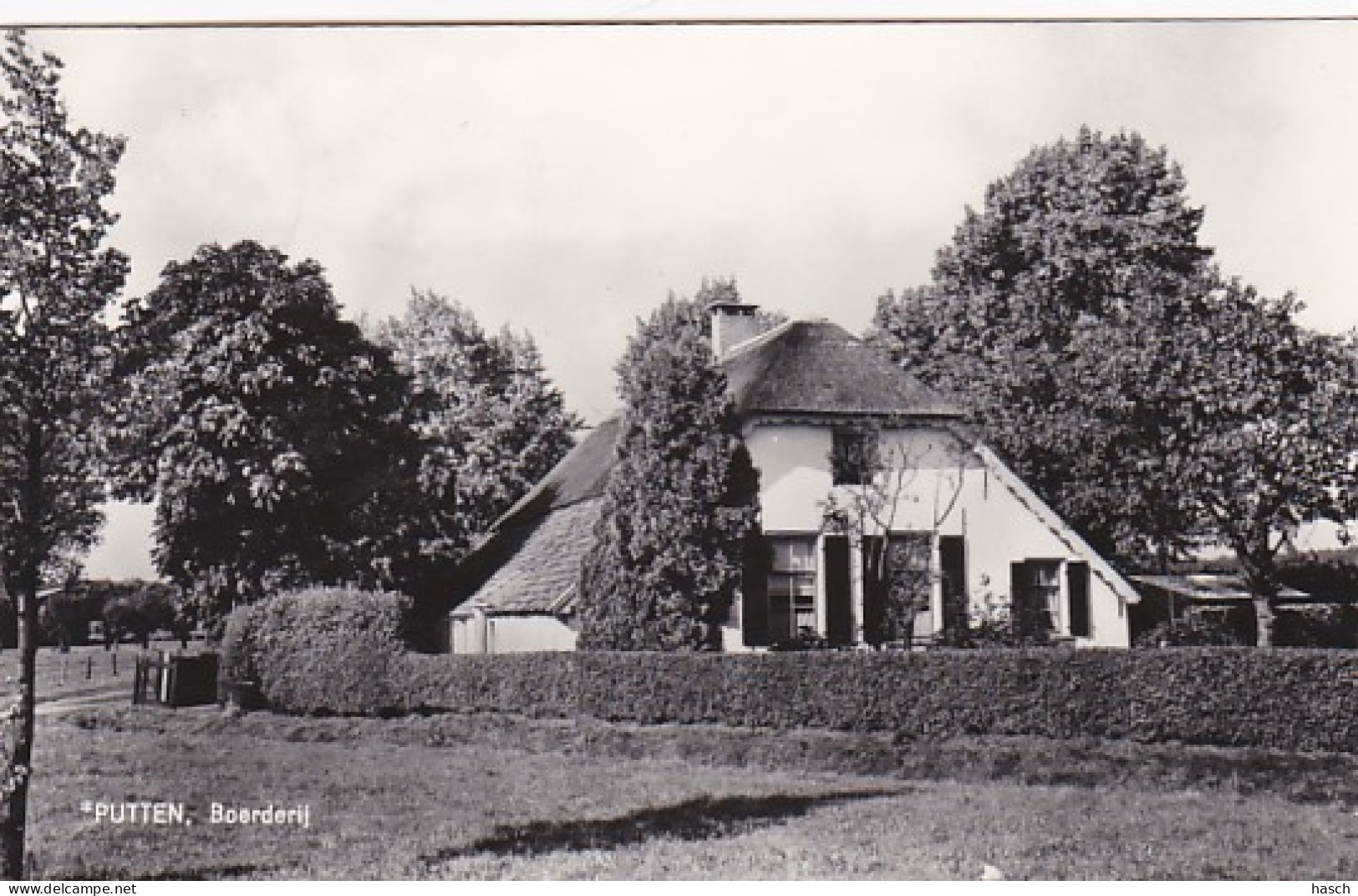 485024Putten, Boerderij. (FOTOKAART) - Putten