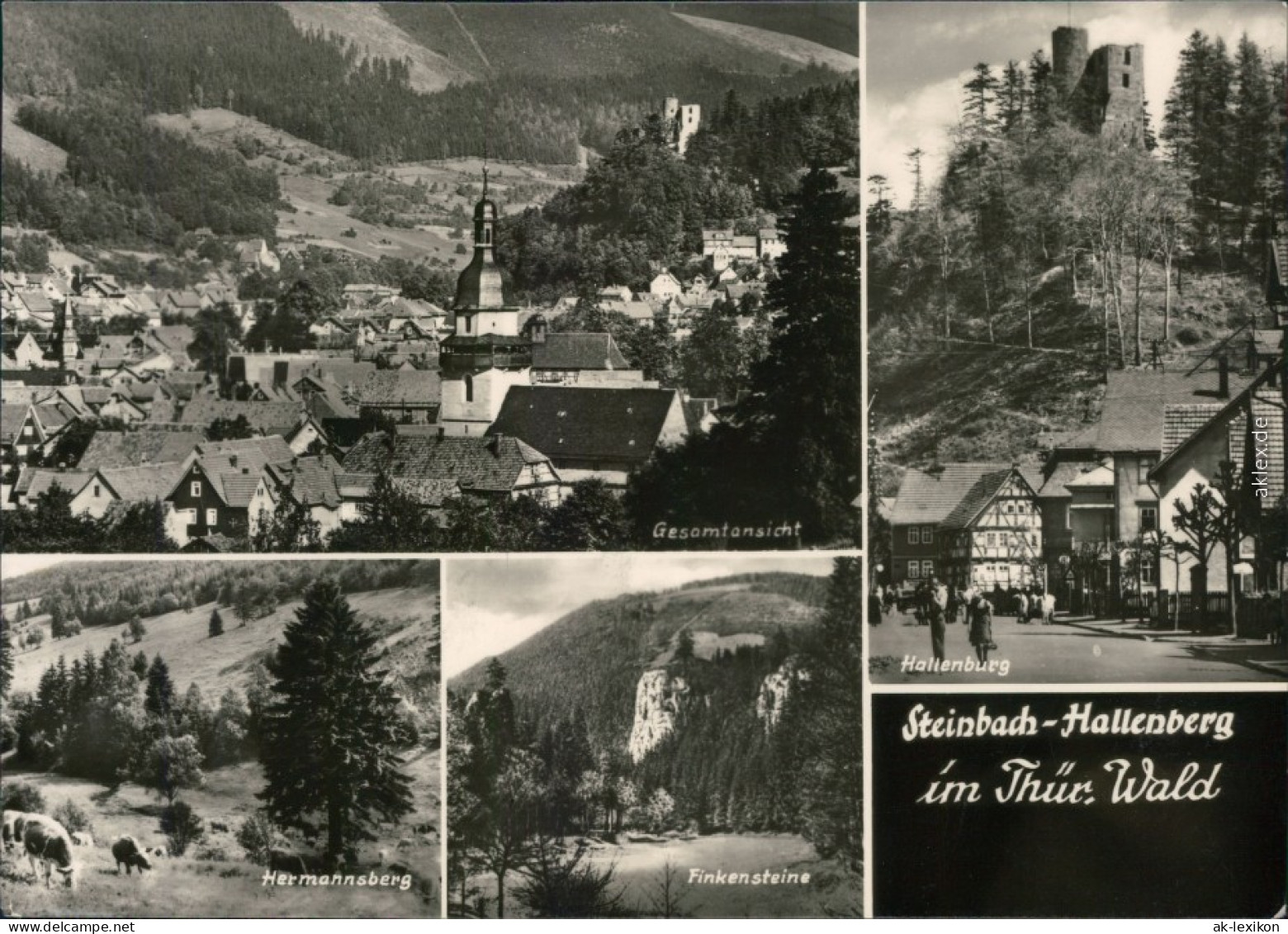 Steinbach-Hallenberg Panorama-Ansicht, Hallenburg, Hermannsberg 1970 - Steinbach-Hallenberg