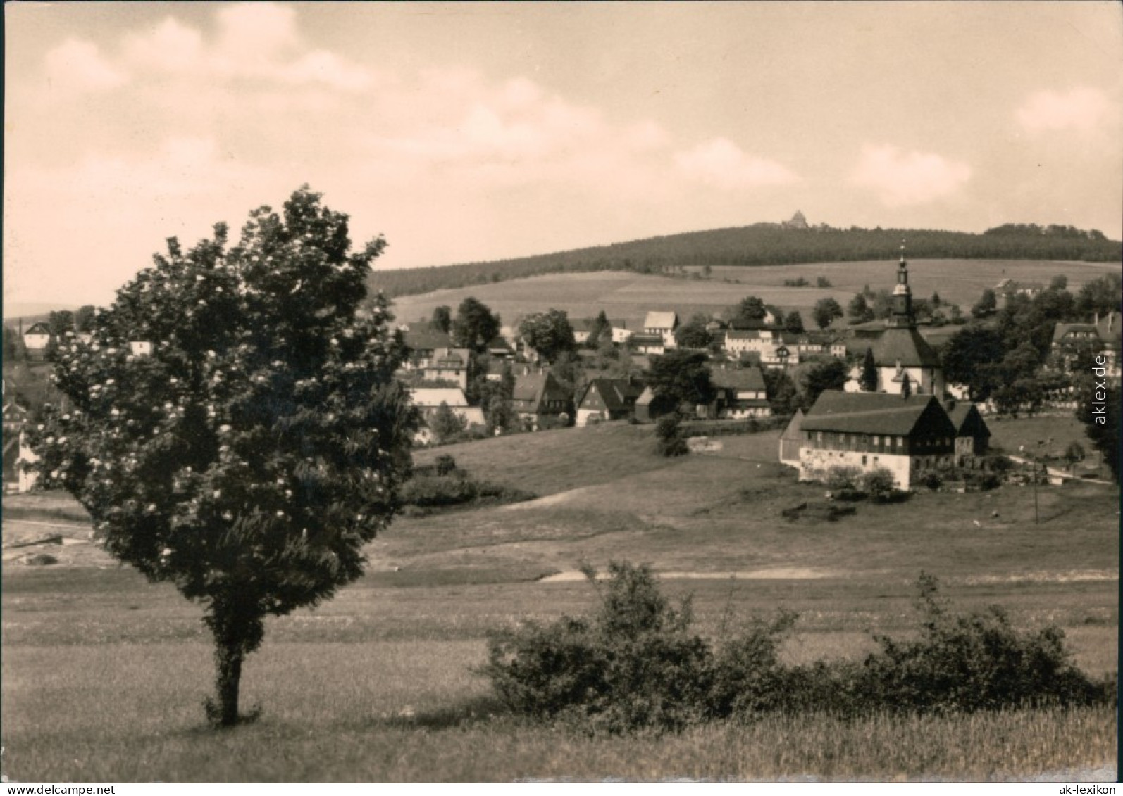 Ansichtskarte Seiffen (Erzgebirge) Panorama-Ansichten 1975 - Seiffen