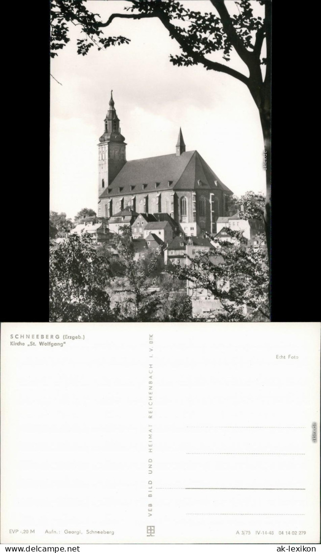 Ansichtskarte Schneeberg (Erzgebirge) St. Wolfgangs-Kirche 1975 - Schneeberg