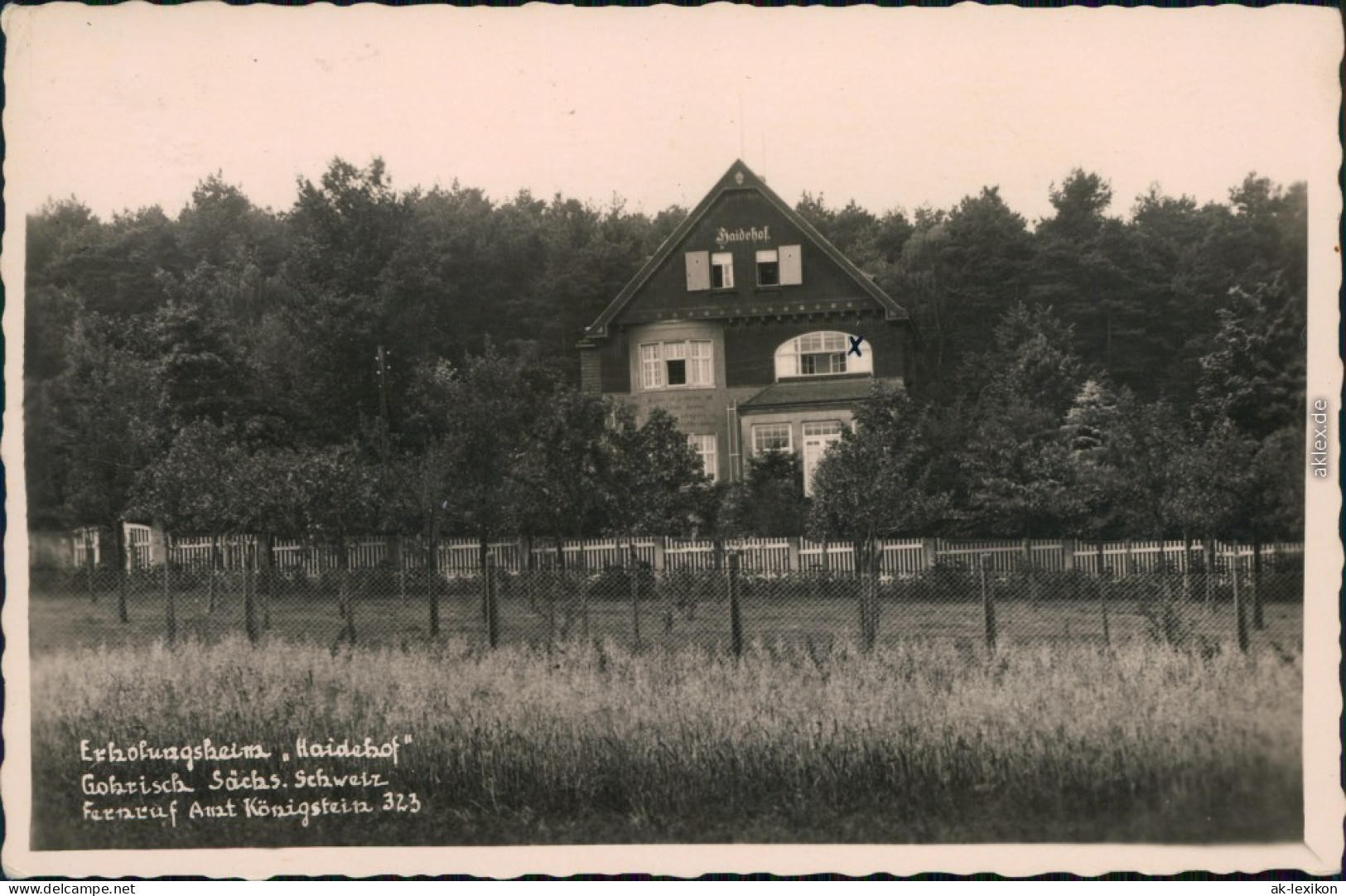 Ansichtskarte Gohrisch  Sächs Schweiz) Erholungsheim Haidehof B Königstein 1936 - Gohrisch