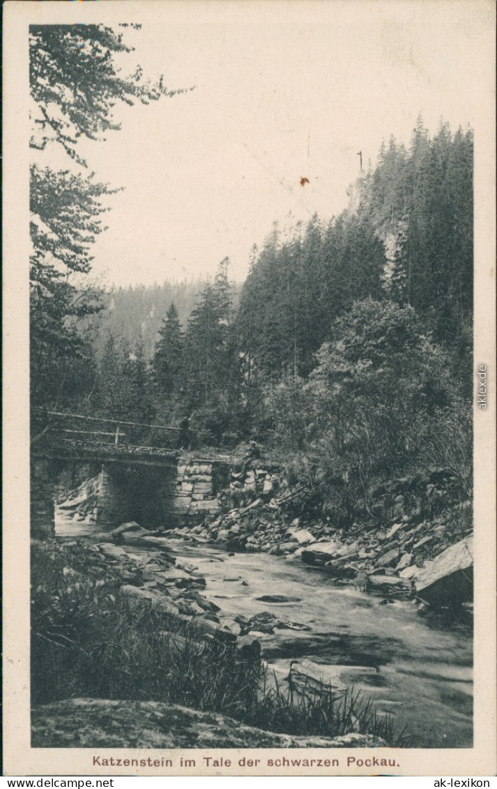 Ansichtskarte Zöblitz Katzenstein Im Tale Der Schwarzen Pockau. 1923 - Zöblitz