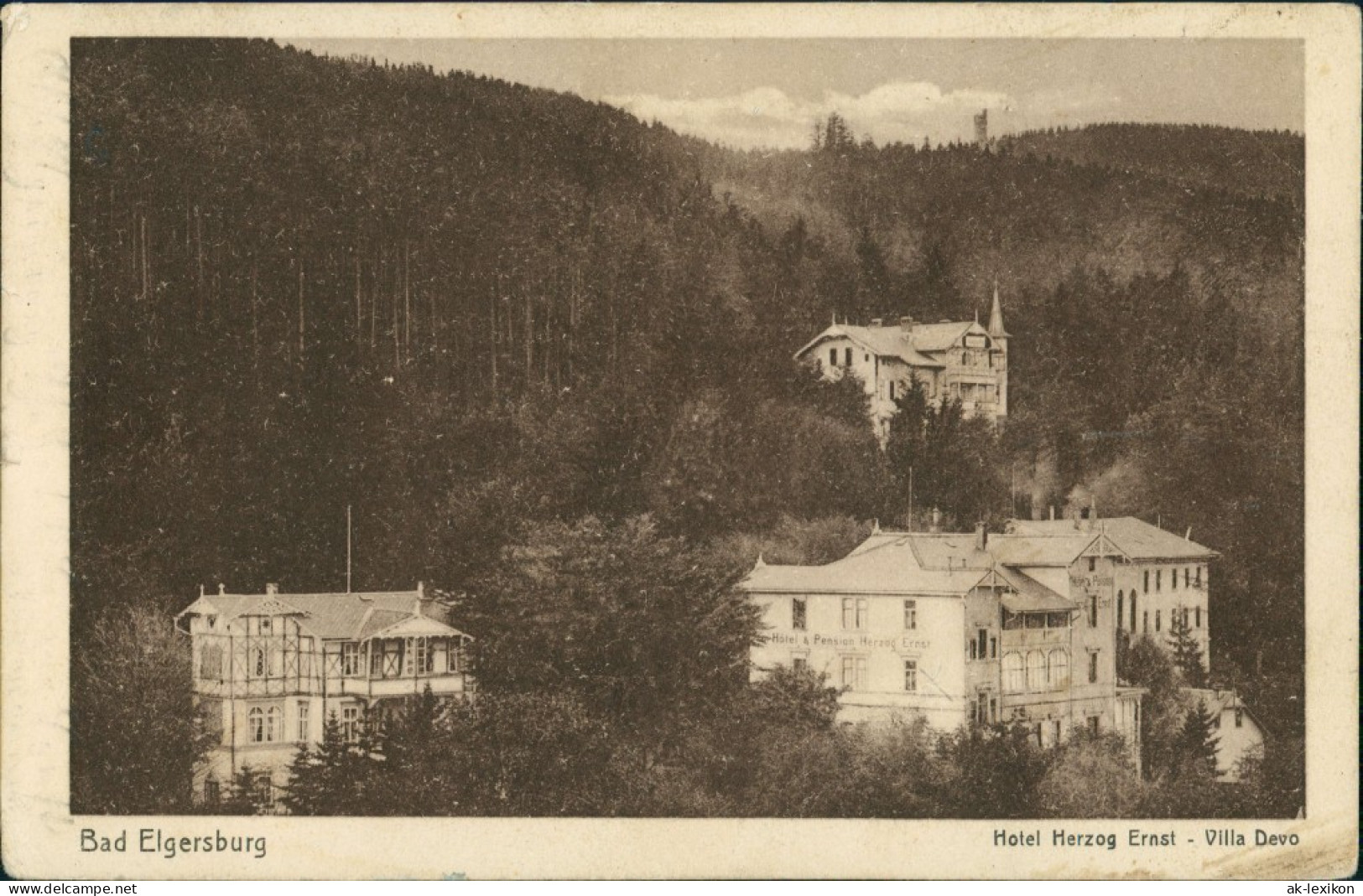 Ansichtskarte Elgersburg Hotel Herzog Ernst - Villa Devo 1928 - Elgersburg