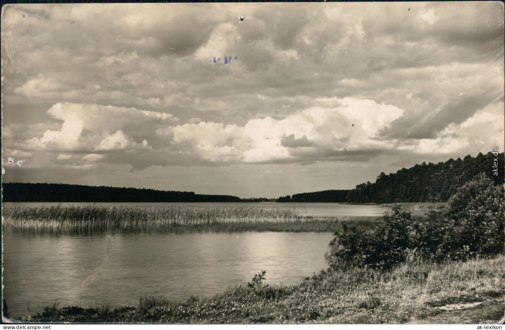 Ansichtskarte Neustrelitz Großer Pälitz-See 1962 - Neustrelitz