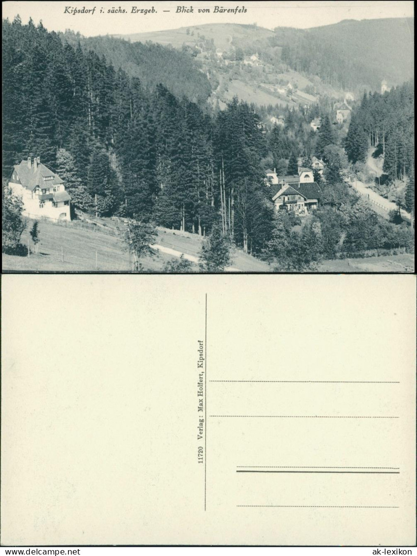 Ansichtskarte Kipsdorf-Altenberg (Erzgebirge) Blick Vom Bärenfels 1909 - Kipsdorf