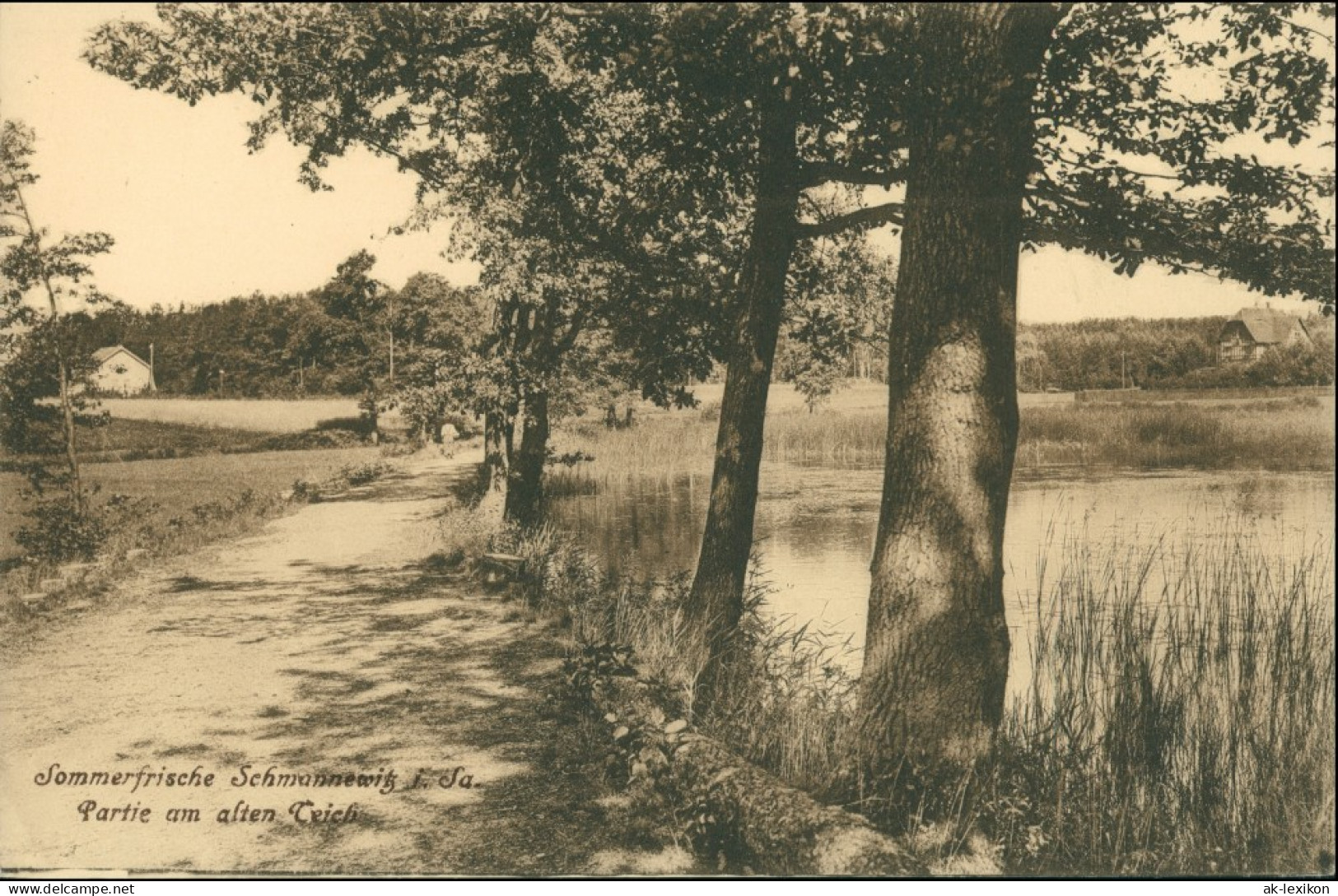 Ansichtskarte Schmannewitz-Dahlen Partie Am Alten Teich 1917 - Dahlen