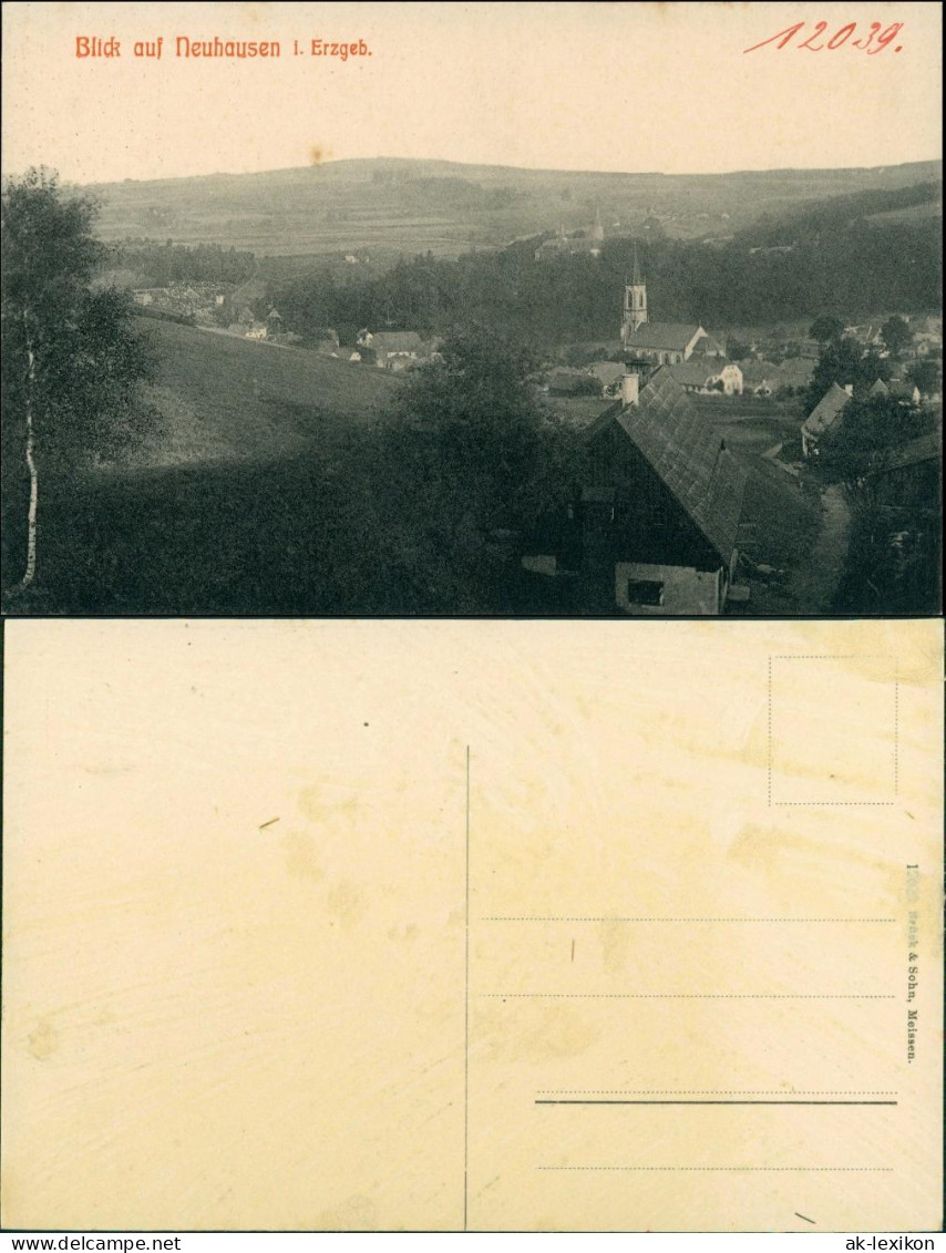 Ansichtskarte Neuhausen (Erzgebirge) Blick Auf Den Ort 1920 - Neuhausen (Erzgeb.)