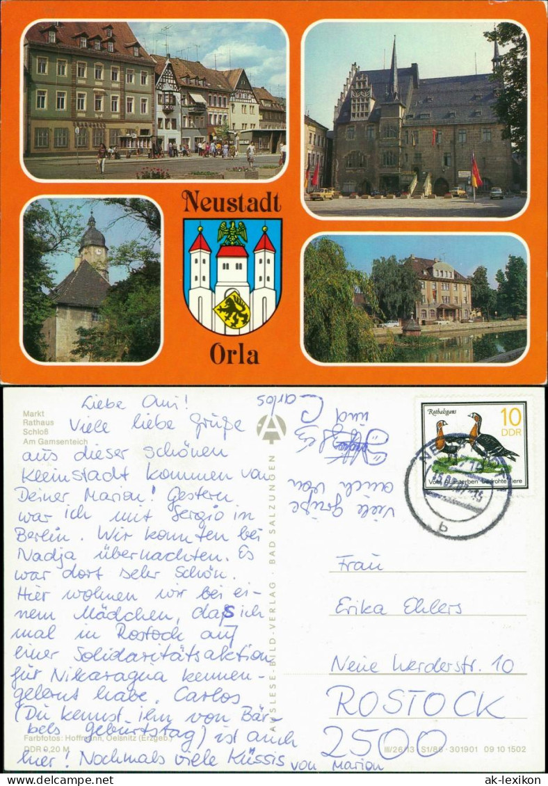 Ansichtskarte Neustadt (Orla) Markt, Rathaus, Schloss, Am Gamsenteich 1988 - Neustadt / Orla