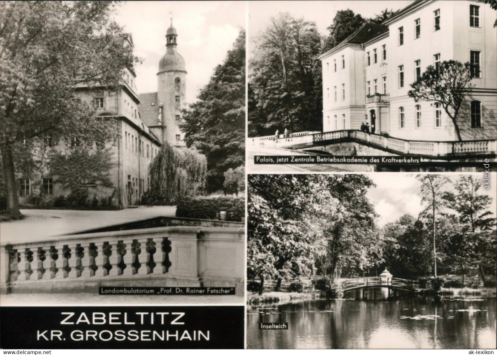 Ansichtskarte Zabeltitz-Großenhain Landambulatorium, Palais, Inselteich 1971 - Grossenhain