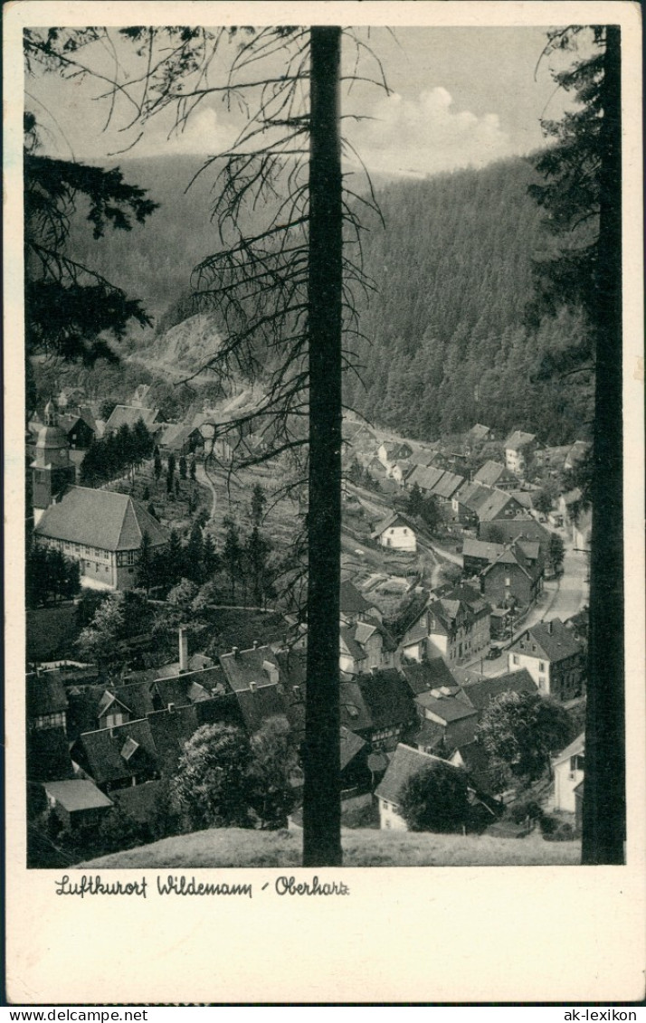 Wildemann (Innerstetal) Panorama-Ansicht Blick Zur Ortsmitte 1952 - Wildemann